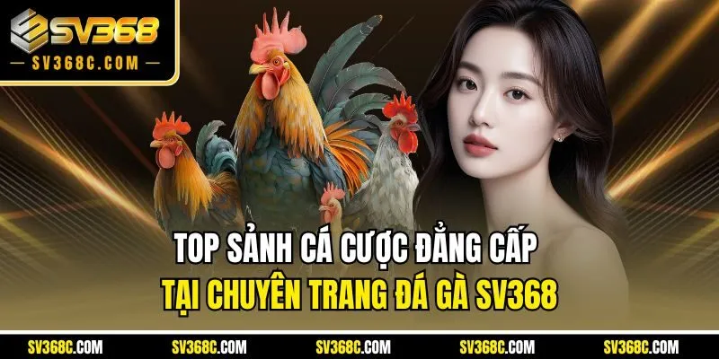Top sảnh cá cược đẳng cấp tại chuyên trang đá gà SV368
