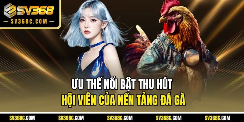 Ưu thế nổi bật thu hút hội viên của nền tảng đá gà